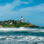 Untitled design (19)