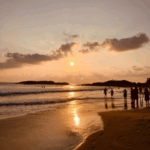 Untitled design (20)