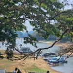 Untitled design (14)