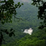 Untitled design (15)