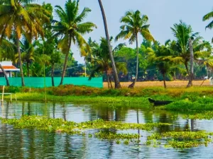 kerala-tour-package-3n-4d