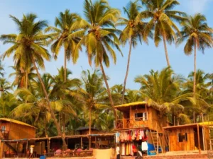 Short Goa Tour