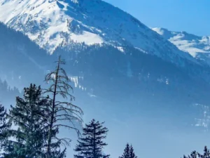 Kashmir tour by Travel Conneciton