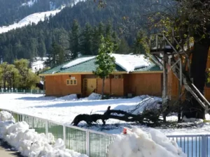 kashmir tour package for couples