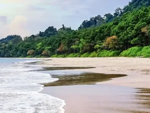 Andaman trip package