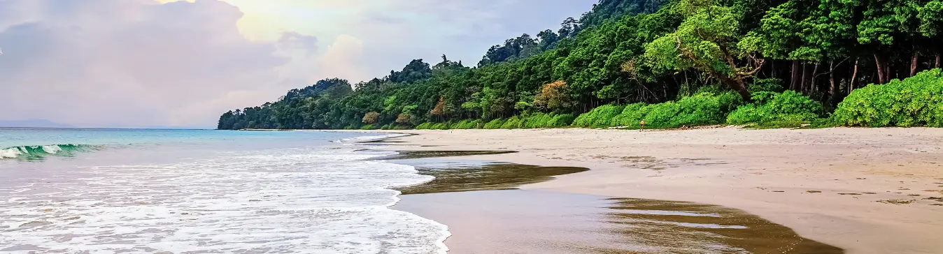 Andaman trip package