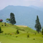 darjeeling hills