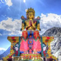 Untitled design (11)