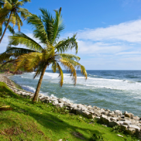 8 days kerala tour package