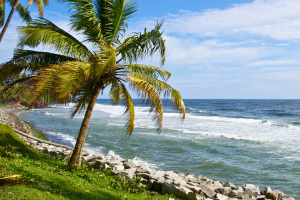 8 days kerala tour package